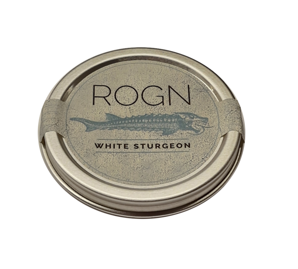 Caviar Rogn WHITE STURGEON